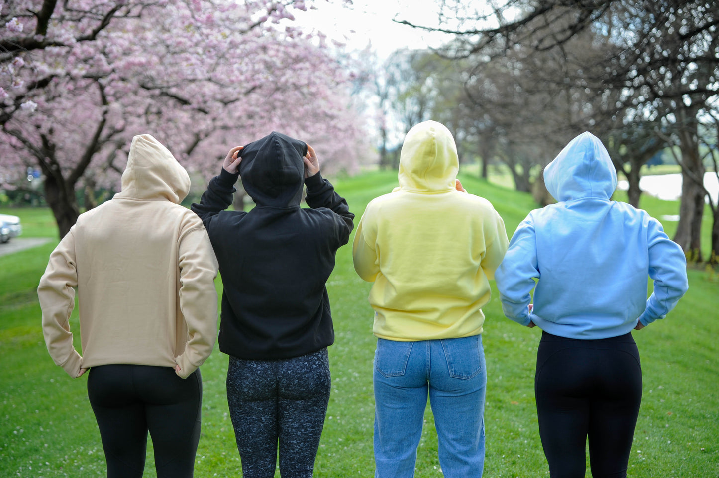 Ace Hoody - Sky Blue